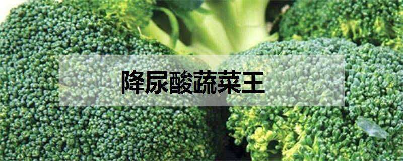降尿酸蔬菜王