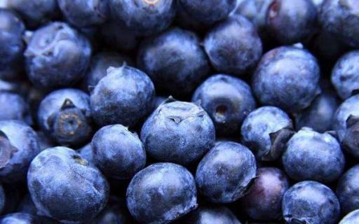 蓝莓冬季施肥方法 什么时间施肥最好