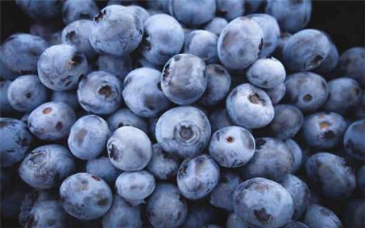 孕妇一天吃多少颗蓝莓好（孕妇每天吃多少颗蓝莓合适）