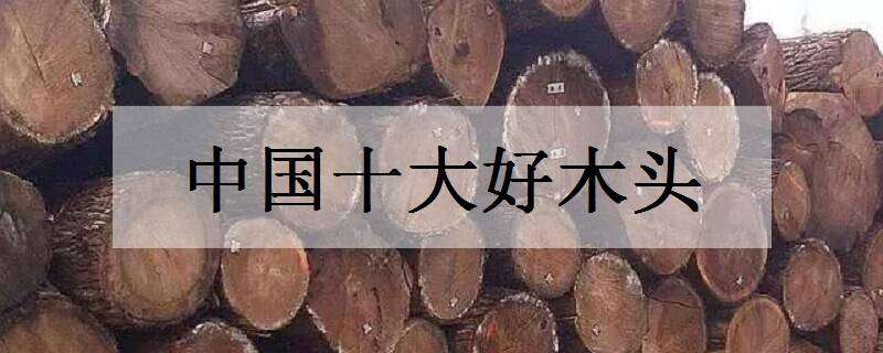 中国十大好木头