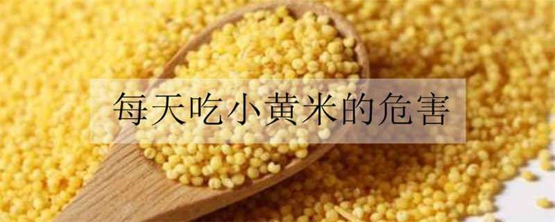 每天吃小黄米的危害