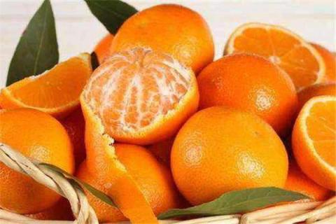 橘子是热性还是凉性 