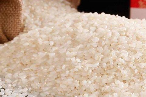 粳米和大米的区别 籼米读音粳米和大米的区别