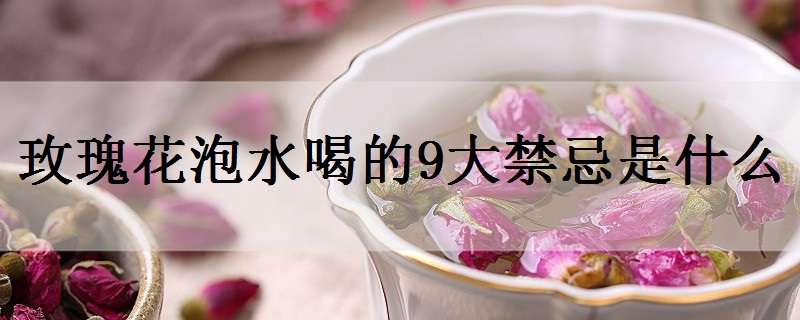 玫瑰花泡水喝的9大禁忌是什么