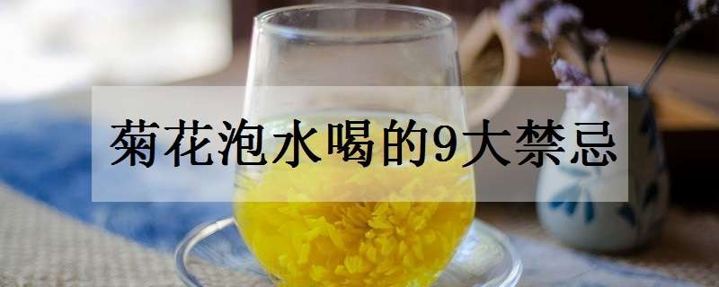 菊花泡水喝的9大禁忌