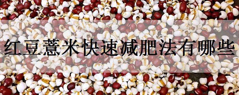 红豆薏米快速减肥法有哪些