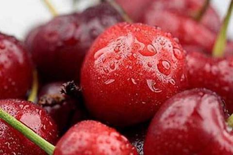 车厘子是什么季节的水果 几月份吃最好