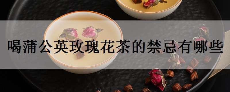 喝蒲公英玫瑰花茶的禁忌有哪些