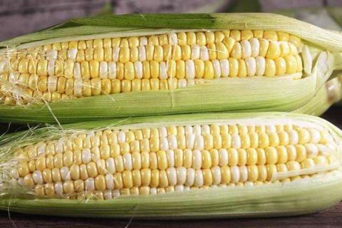 2021玉米价格走势 2021玉米价格走势图干玉米多少钱一吨