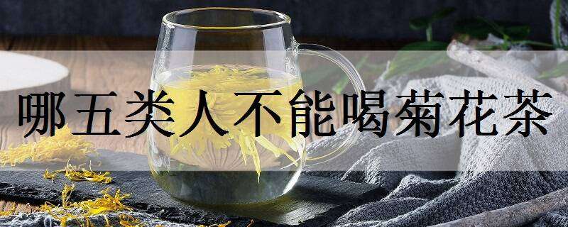 哪五类人不能喝菊花茶