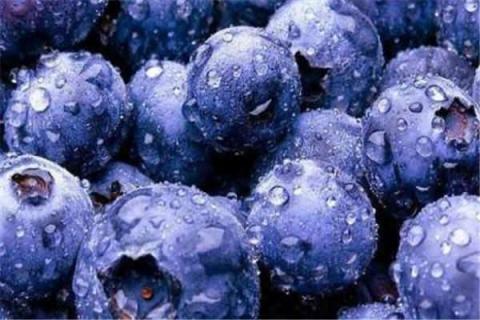 蓝莓是热性还是凉性（蓝莓是热性还是凉性水果呢）