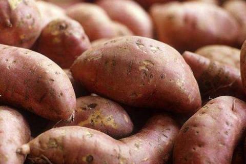 木薯和红薯的区别（木薯和红薯的区别白卜和黑卜）