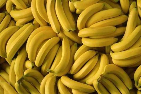 减肥期间可以吃香蕉吗 香蕉热量高吗