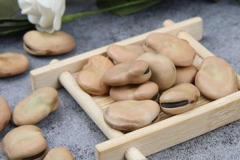 蚕豆的功效与作用及营养价值是什么（蚕豆的功效和营养价值）