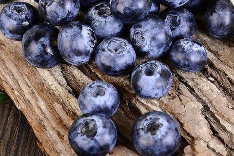 蓝莓的功效与作用及营养价值是什么