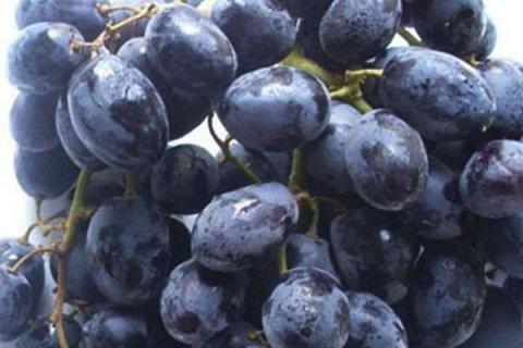 葡萄是什么季节的水果 几月份会成熟