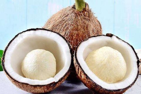 椰子的功效与作用及营养价值是什么 椰子的功效和作用价值