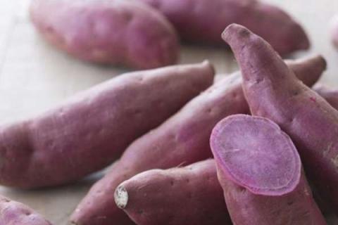 紫薯是转基因食品吗 紫薯是转基因食品吗?