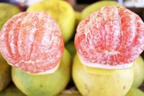 葡萄柚和西柚的区别 两者是同一种水果吗