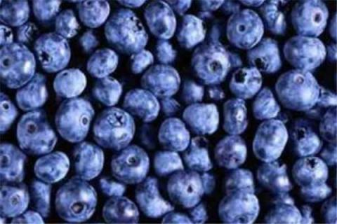 女人吃蓝莓的禁忌 女人吃蓝莓的禁忌食用过多有什么副作用