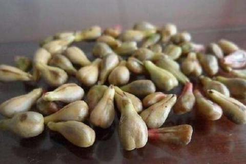 长期服用葡萄籽的危害 长期服用葡萄籽的危害 葡萄籽对女人的作用