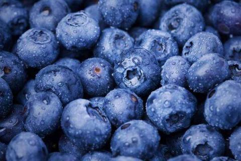 蓝莓可以一天吃一盒吗（蓝莓可以一天吃多少颗）