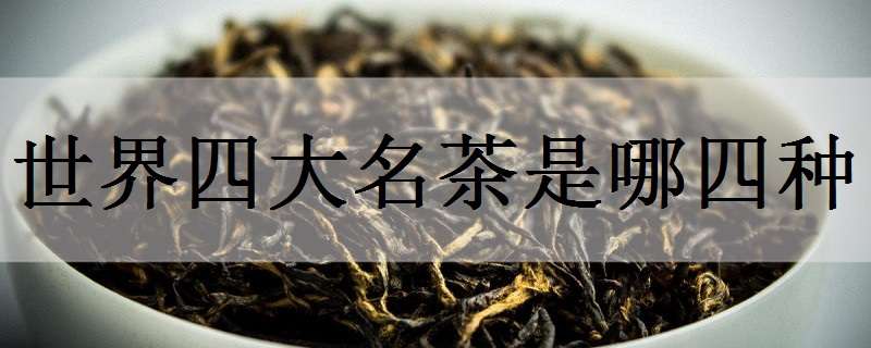 世界四大名茶是哪四种