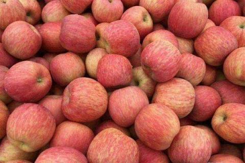 红富士苹果的营养价值及营养成分 什么时候吃价值高
