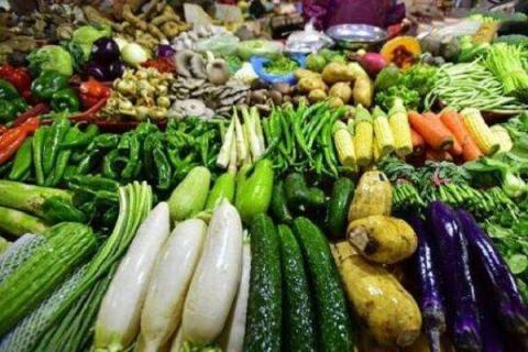 什么蔬菜适合在家水培 哪些蔬菜最好种