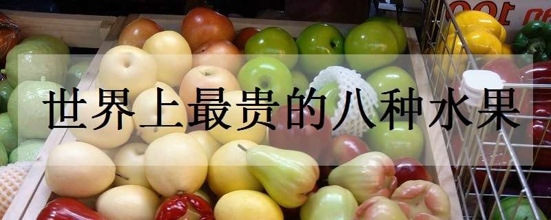 世界上最贵的8种水果