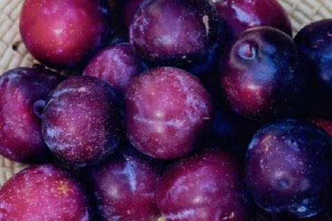 紫色的水果有哪些 盘点高颜值紫色果子