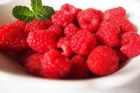 树莓和覆盆子的区别 谁的营养价值更高