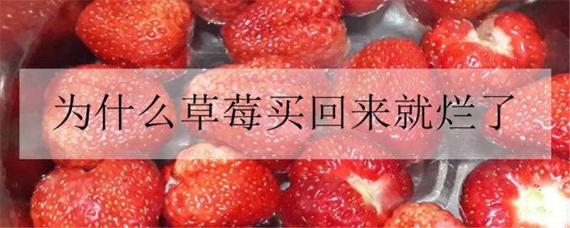 新鲜的草莓怎么清洗才能吃