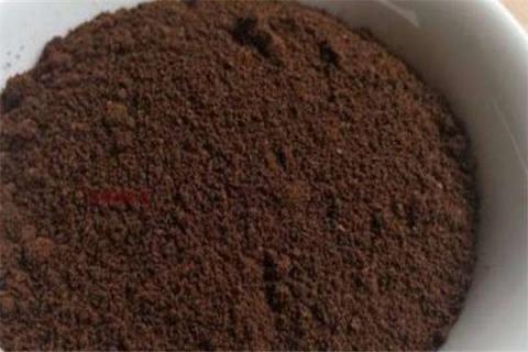 咖啡粉可以做肥料吗 