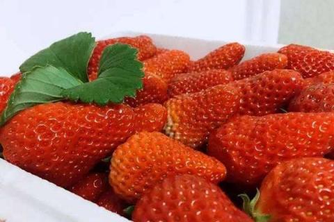 草莓是酸性水果吗 是碱性还是酸性