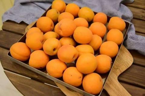 杏子是什么季节的水果 挑选技巧有哪些