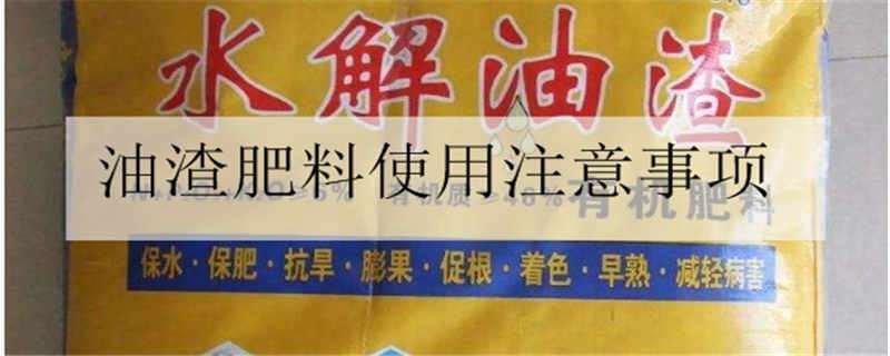 油渣肥料使用注意事项 油渣肥料使用注意事项有哪些