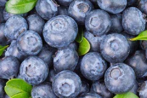 蓝莓应该吃酸的还是甜的 谁的营养价值高