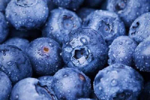 蓝莓应该吃酸的还是甜的 谁的营养价值高