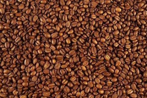 过期的咖啡豆直接放花盆做肥料好吗