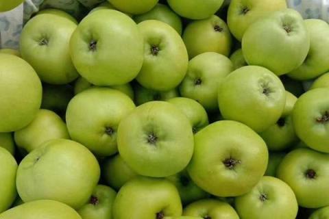 苹果用什么肥料果实更甜（苹果用什么肥料果实更甜一些）