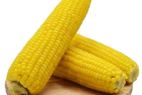 玉米施肥氮磷钾比例是多少 玉米施肥氮磷钾含量比例是多少
