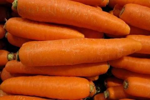 萝卜什么时候施肥 可以用尿素浇吗