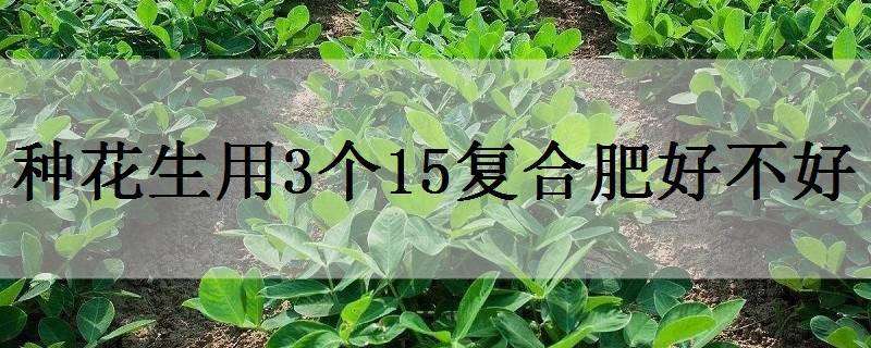 种花生用3个15复合肥好不好