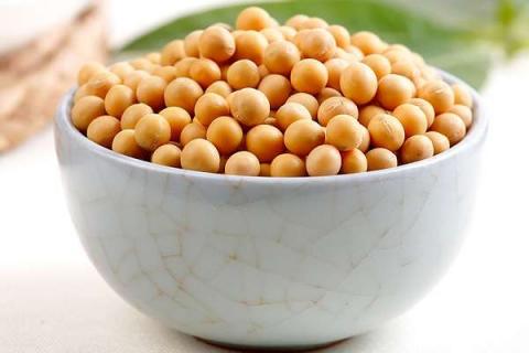 大豆重茬用什么肥好 如何才能避免减产