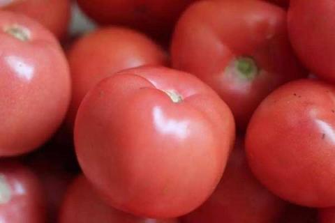 西红柿膨果期怎么样施肥才能高产