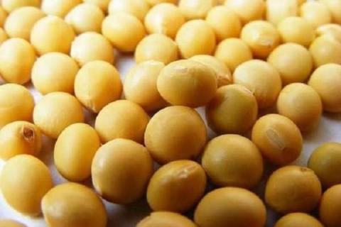 臭黄豆水是氮肥是磷肥 发酵后属于什么肥