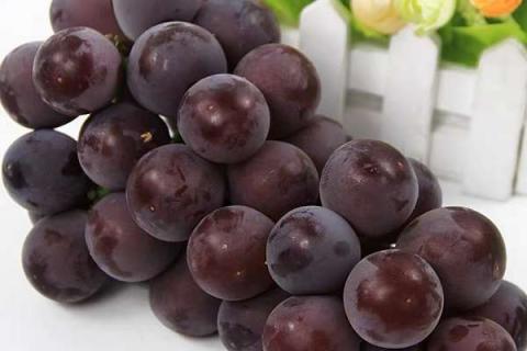 葡萄用什么肥料果实更甜 施肥技巧有哪些