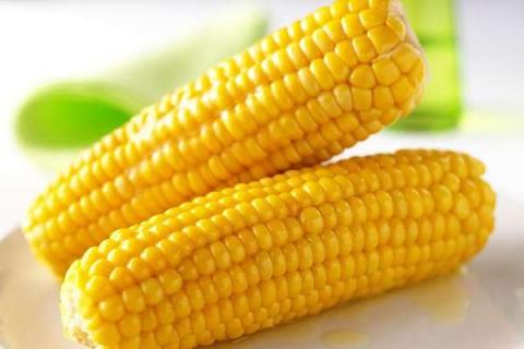 高效氯氟氰菊酯可以打玉米吗