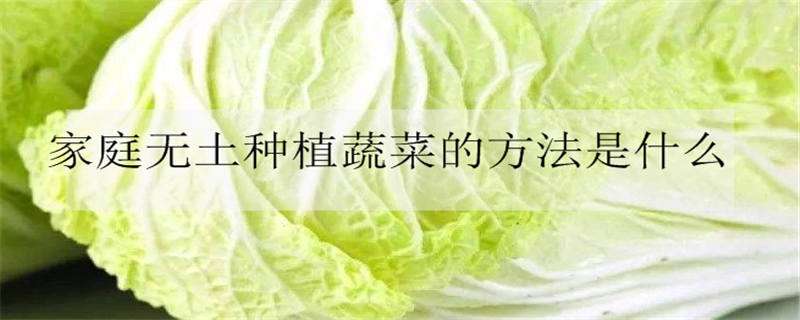 家庭无土种植蔬菜的方法是什么